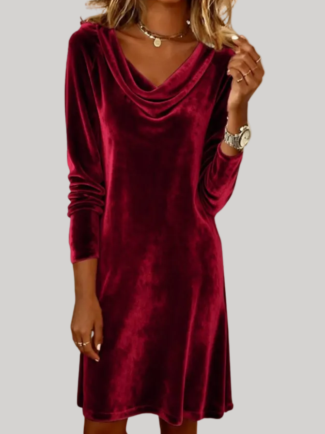 Anna - Velvet Sleeve Dress