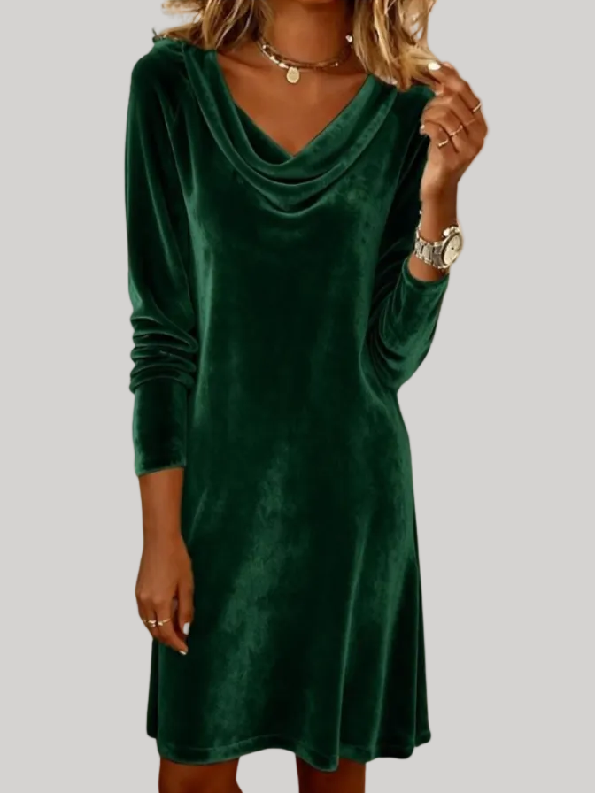 Anna - Velvet Sleeve Dress