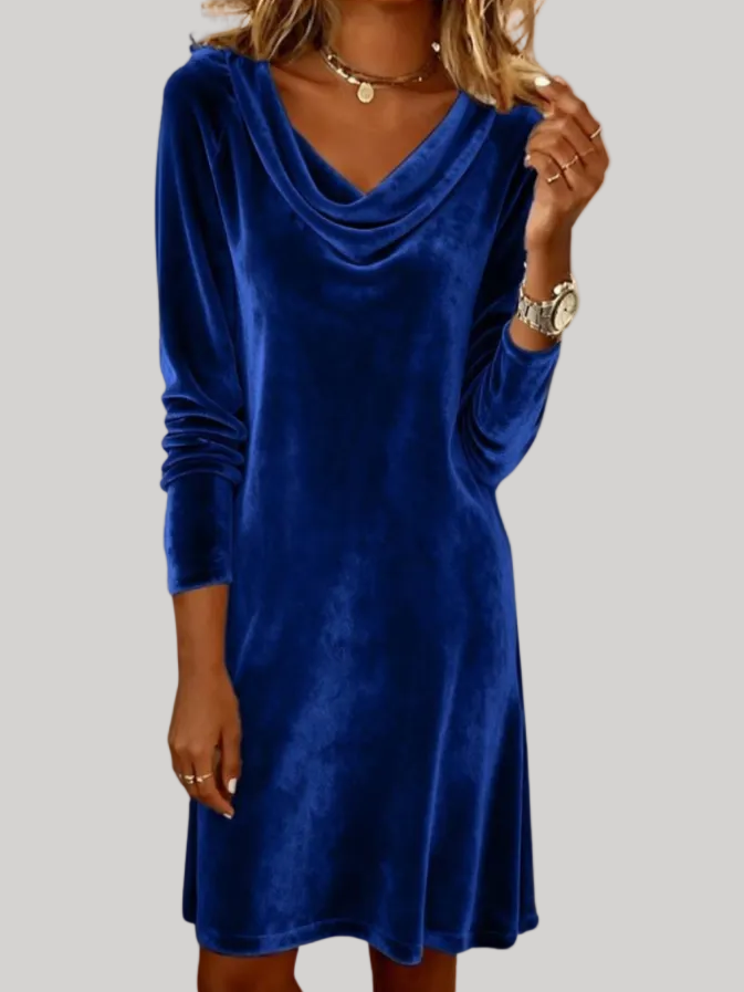 Anna - Velvet Sleeve Dress