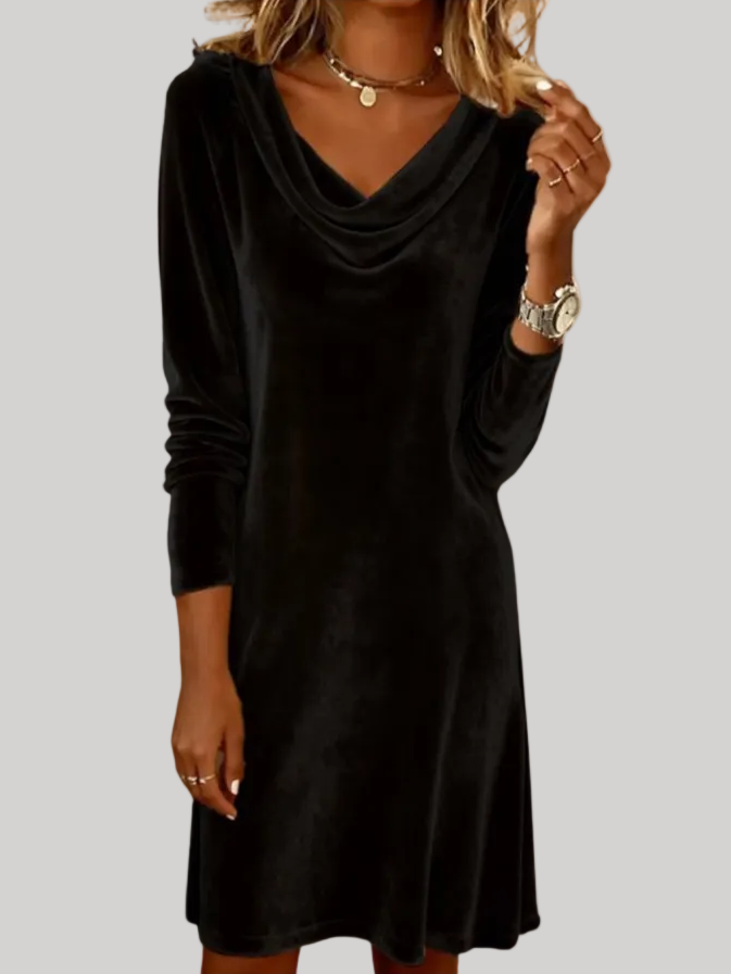 Anna - Velvet Sleeve Dress